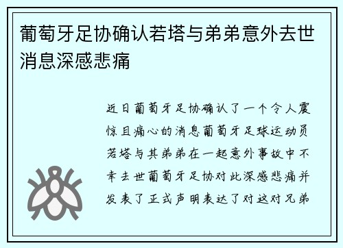 葡萄牙足协确认若塔与弟弟意外去世消息深感悲痛