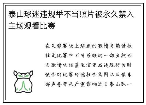 泰山球迷违规举不当照片被永久禁入主场观看比赛