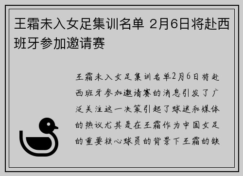 王霜未入女足集训名单 2月6日将赴西班牙参加邀请赛